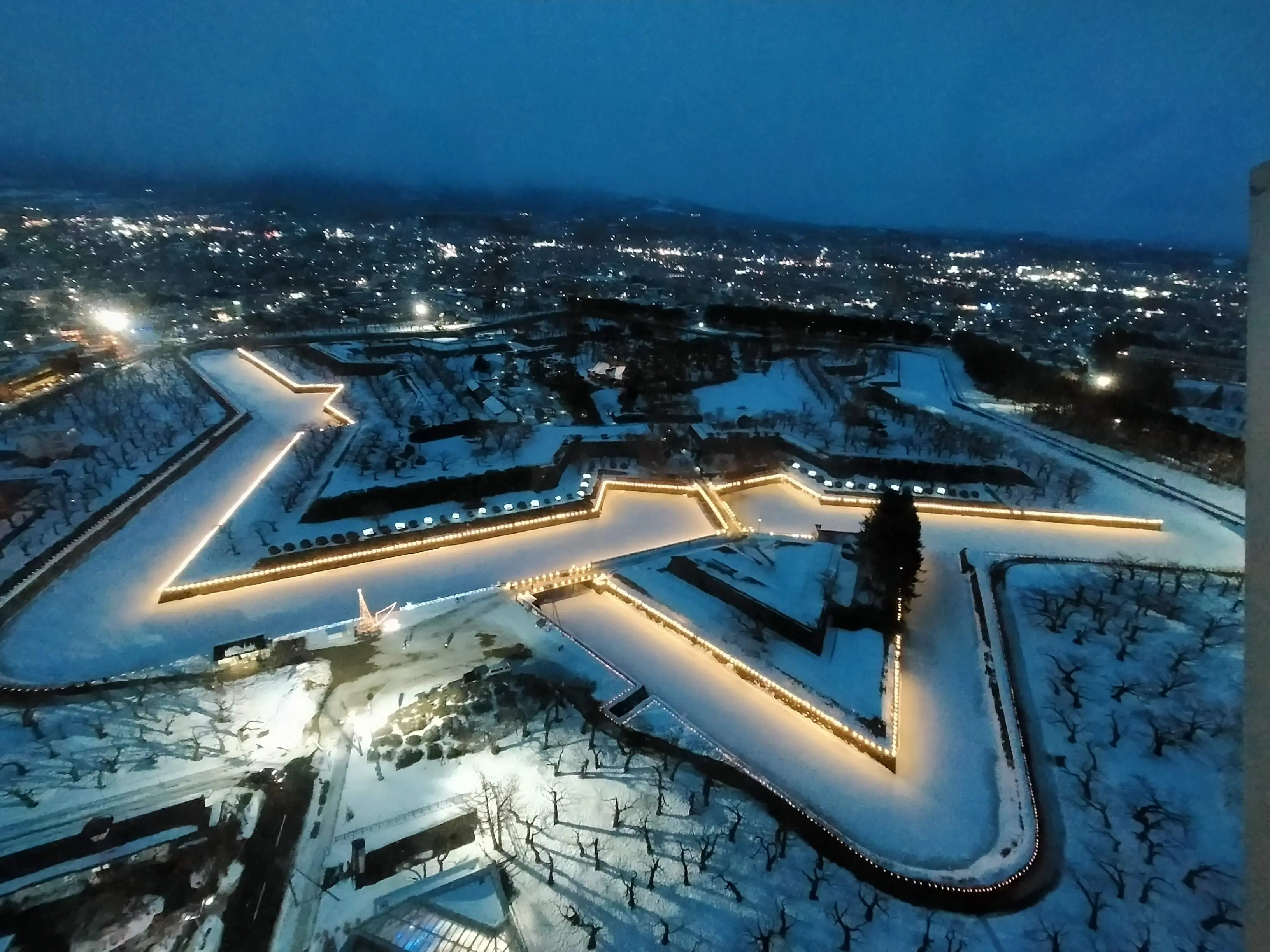 冬の五稜郭公園を俯瞰
