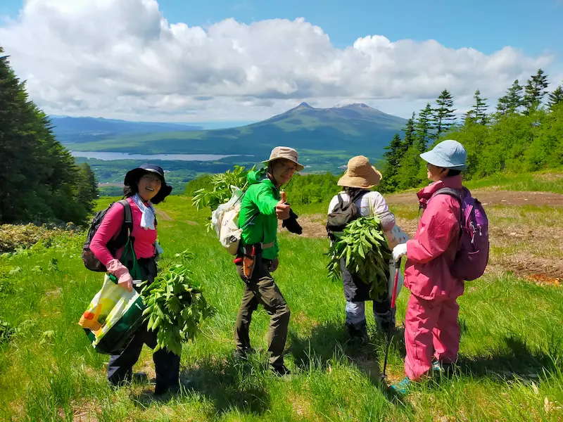 函館山での植物観察の様子