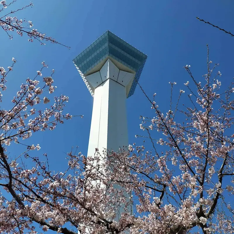 春の清掃活動の様子